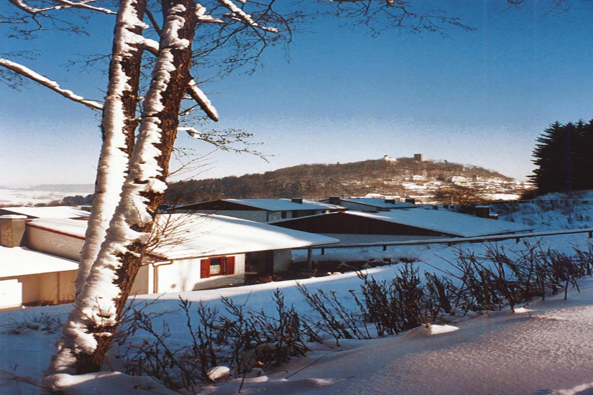 Ferienwohnung Im Ferienpark Falkenstein Falkenstein  Eksteriør billede
